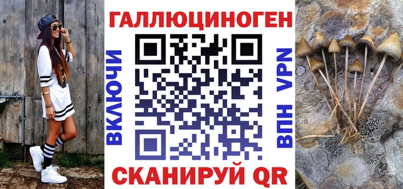 ОМГ ОМГ вход  Михайловск  Псилоцибиновые грибы Cubensis  где продают наркотики 